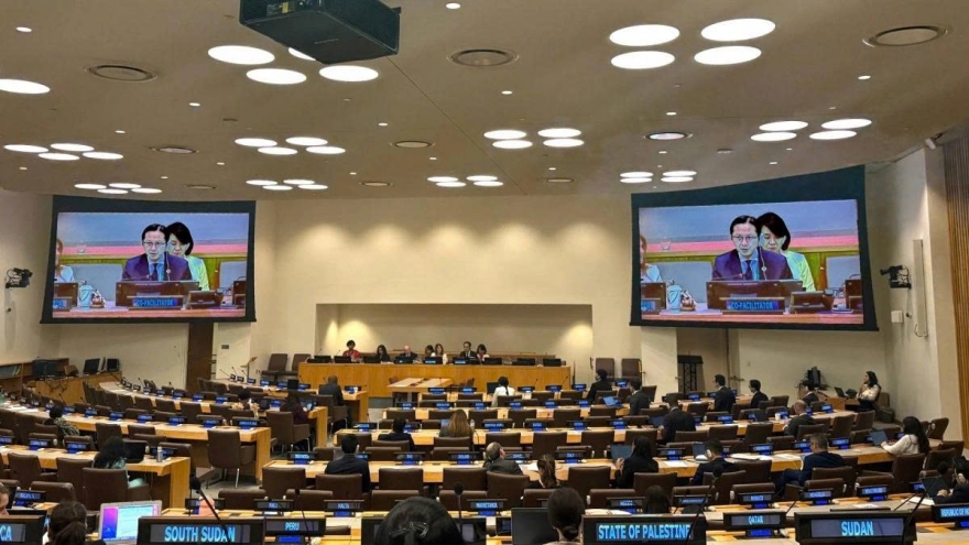 Vietnam recognised for contributions to global disease prevention